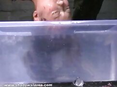 3 Schwaenze türkçe porno ünlüler getirmek zuchtstute alem